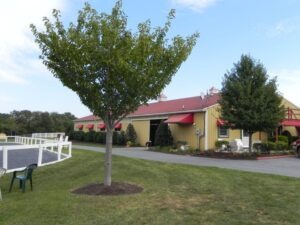 last laugh farm indoor arena