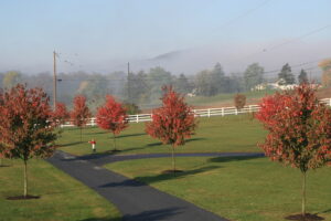 last laugh farm with red maples horse breeding farm in Pennsylvania