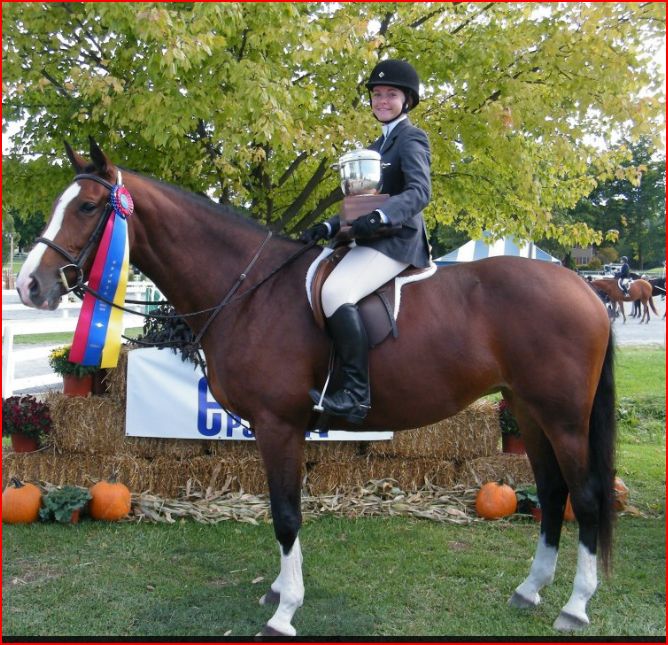 trophy-winning jumping horse bred by last laugh farm