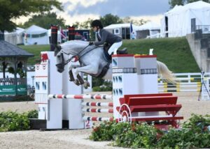 talented oldenburg bred for eventing at last laugh farm