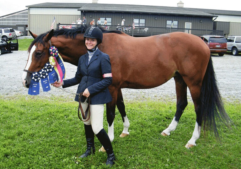 award-winning jumper bred by last laugh farm