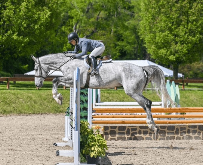 talented jumper bred by last laugh farm