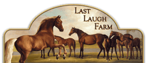 last laugh farm logo breeding quality warmblood sporthorses