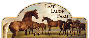 last laugh farm logo breeding quality warmblood sporthorses
