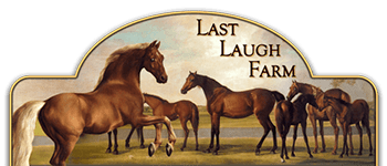 last laugh farm logo breeding quality warmblood sporthorses