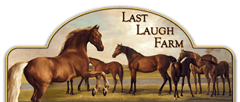 last laugh farm logo breeding quality warmblood sporthorses