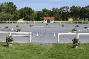 beautiful registry inspection arena at last laugh farm