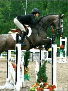 Warmblood sport horse breeders