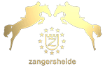zangersheide registry stallion