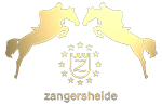 zangersheide registry stallion