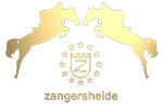 zangersheide registry stallion