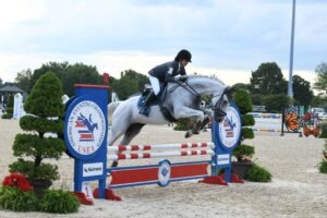 talented grey oldenburg competing in eventing bred by Last Laugh Farm